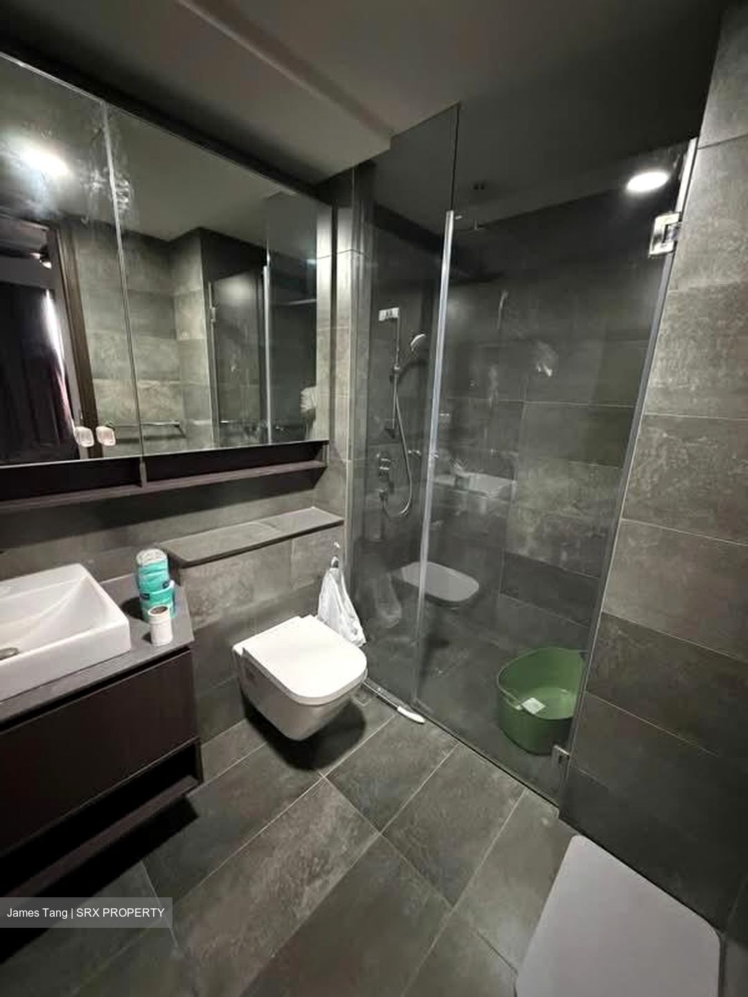 Grandeur Park Residences (D16), Condominium #574250971